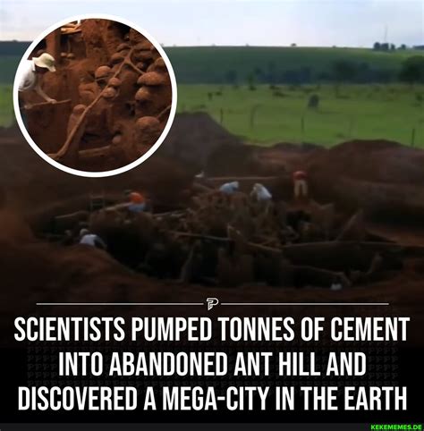 ant mega colony|Scientists discover secret mega.